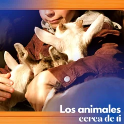 Gallinero Para Pavos Y Otras Grandes Aves - Caseta Para Animales - Refugio Para Cabras Y Ovejas