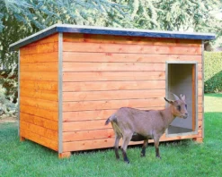 Gallinero Para Pavos Y Otras Grandes Aves - Caseta Para Animales - Refugio Para Cabras Y Ovejas
