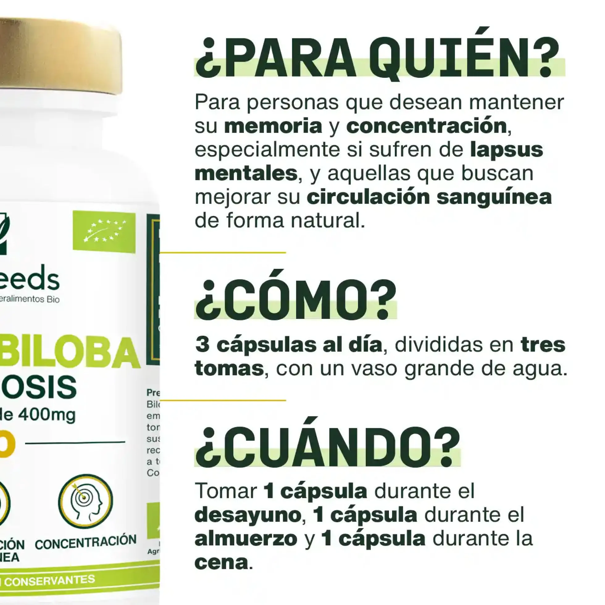 Ginkgo Biloba Bio, Alta Dosis | 90 Cápsulas