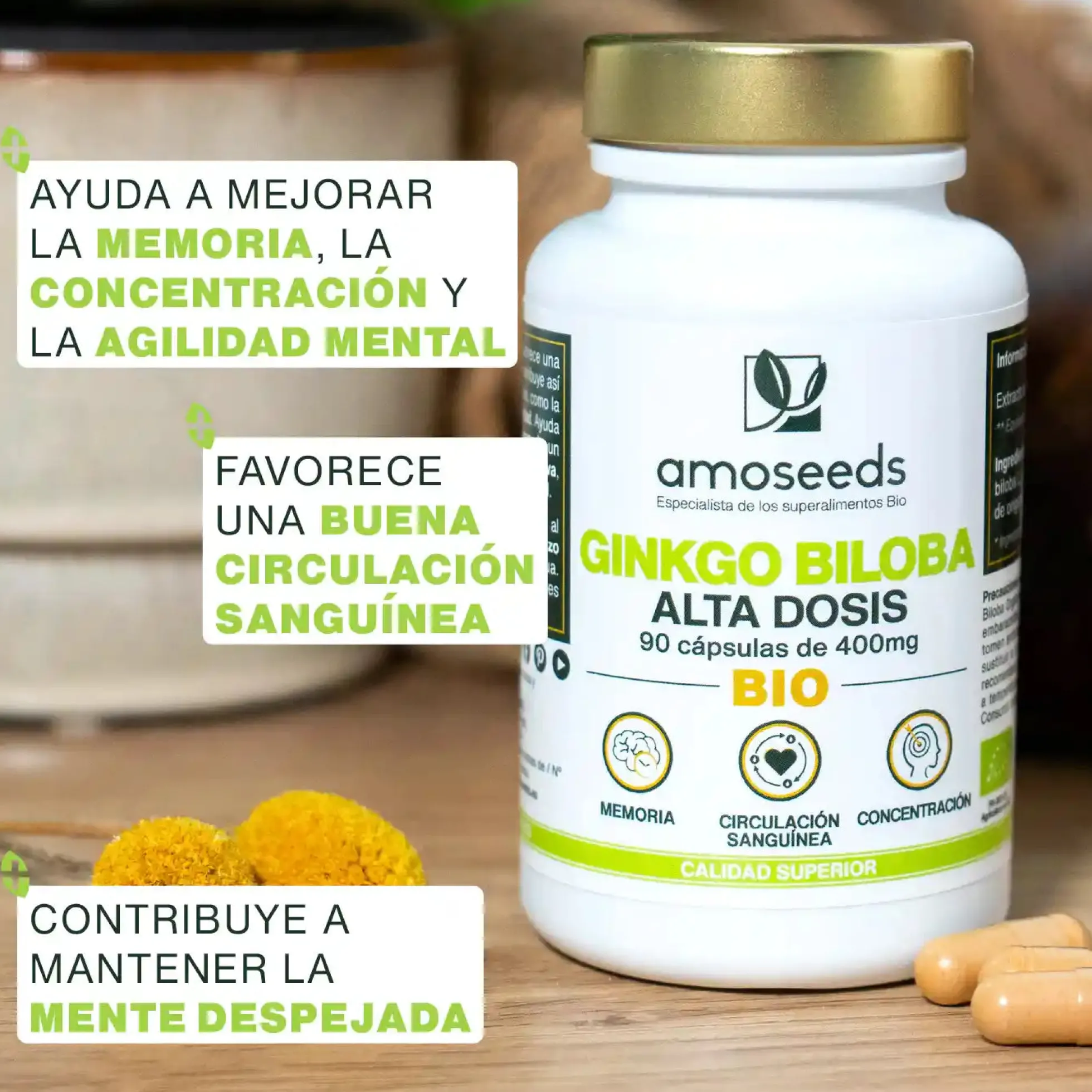 Ginkgo Biloba Bio, Alta Dosis | 90 Cápsulas