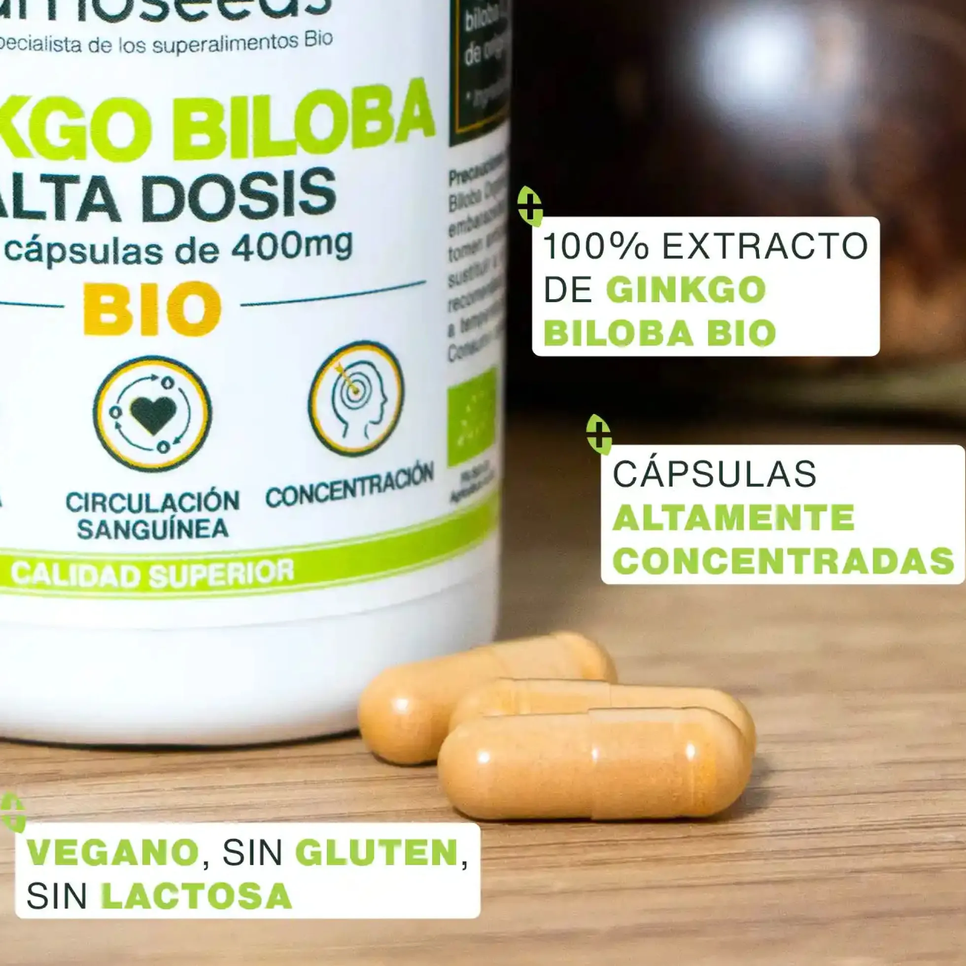 Ginkgo Biloba Bio, Alta Dosis | 90 Cápsulas