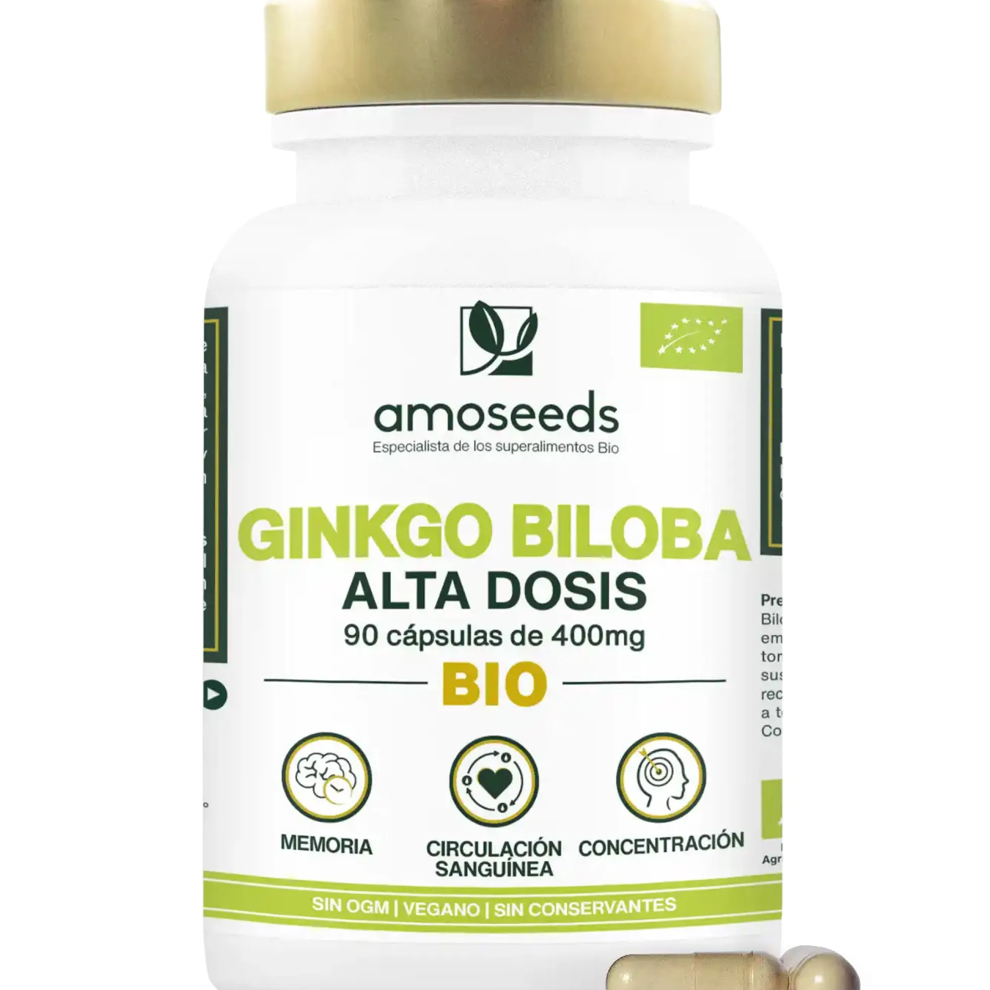 Ginkgo Biloba Bio, Alta Dosis | 90 Cápsulas