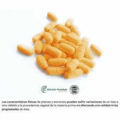 Glucosamina+Condroitina+MSM 1000 mg 60 comp BLISTE
