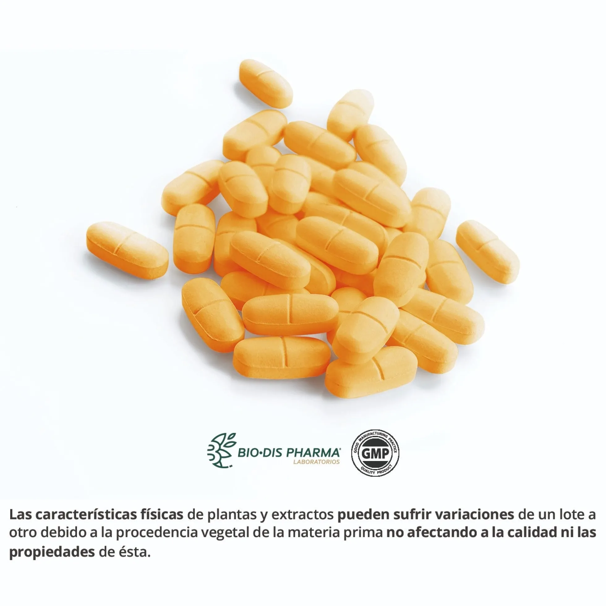 Glucosamina+Condroitina+MSM 1000 mg 60 comp BLISTE
