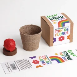 Grow This Way – Kit de Autocultivo Mix de Flores, Actividad Educativa y Regalo Original - Resetea