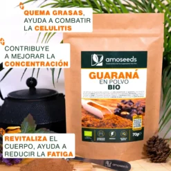 Guaraná En Polvo Bio 70g
