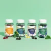 Gummies Vitalidad Fleurance Nature 60 Unidades