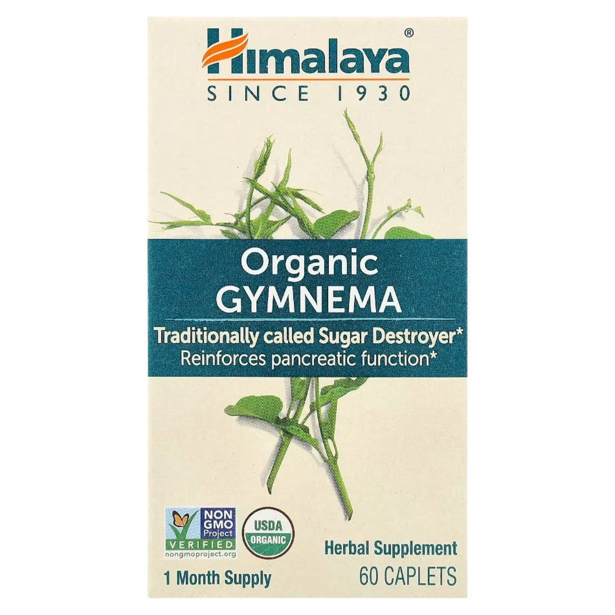Gymnema 60 Tab