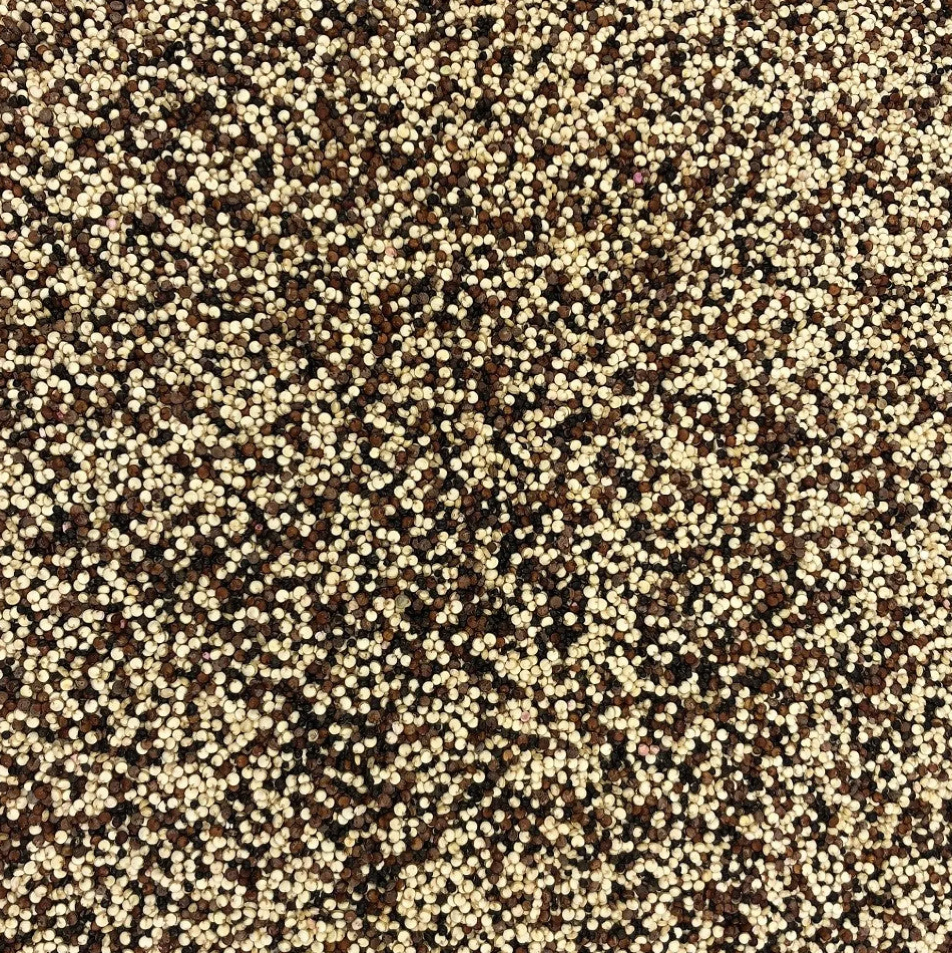 Harina De Coco Ecológica Granel 1 Kg