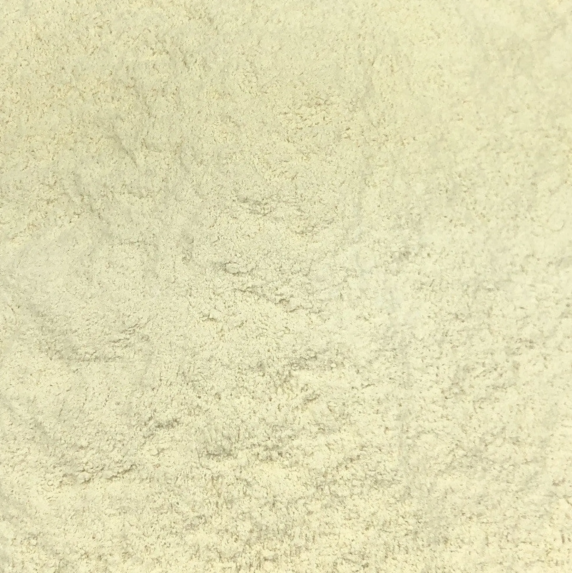 Harina De Soja Ecológica Granel 25 Kg