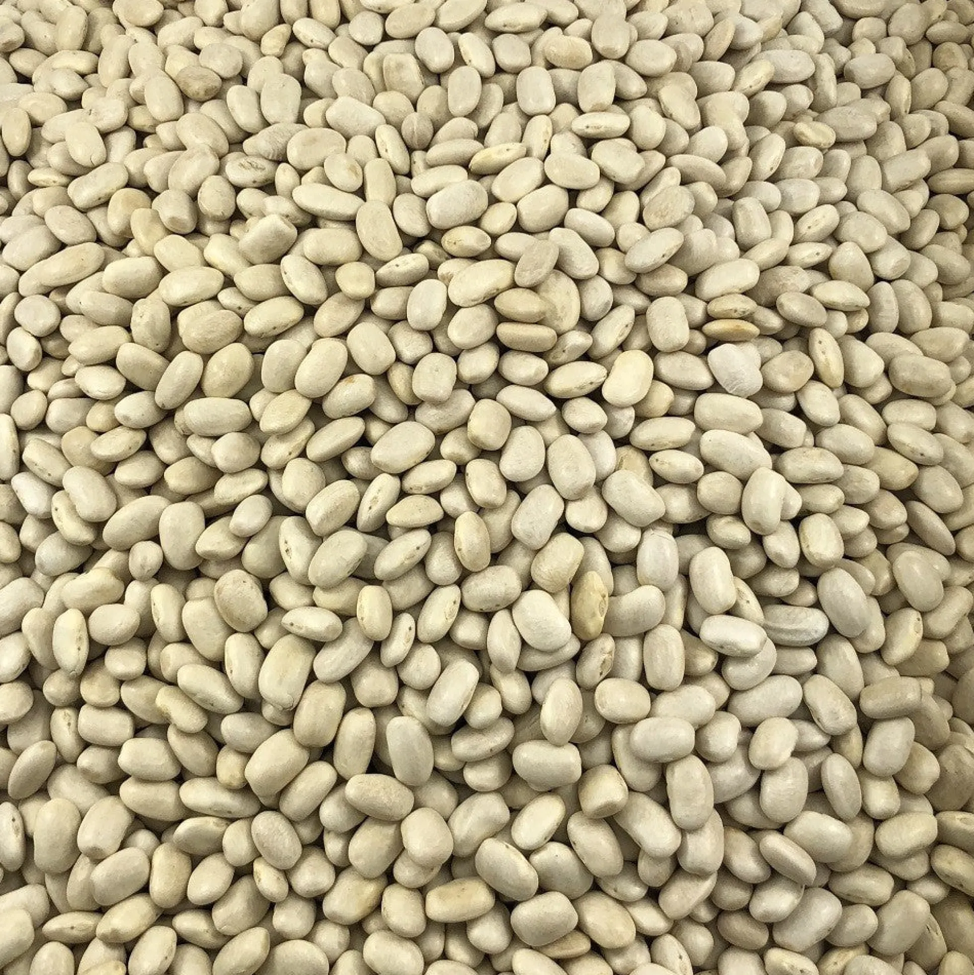 Harina De Soja Ecológica Granel 5 Kg