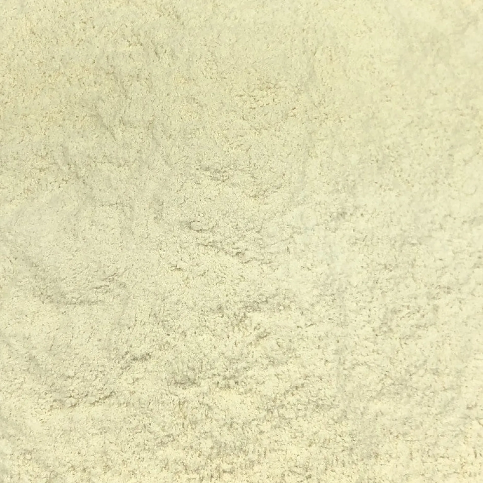 Harina De Sorgo Ecológica Granel 10 Kg