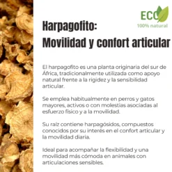 Harpagofito ECO para perros y gatos – Confort articular – 100 g