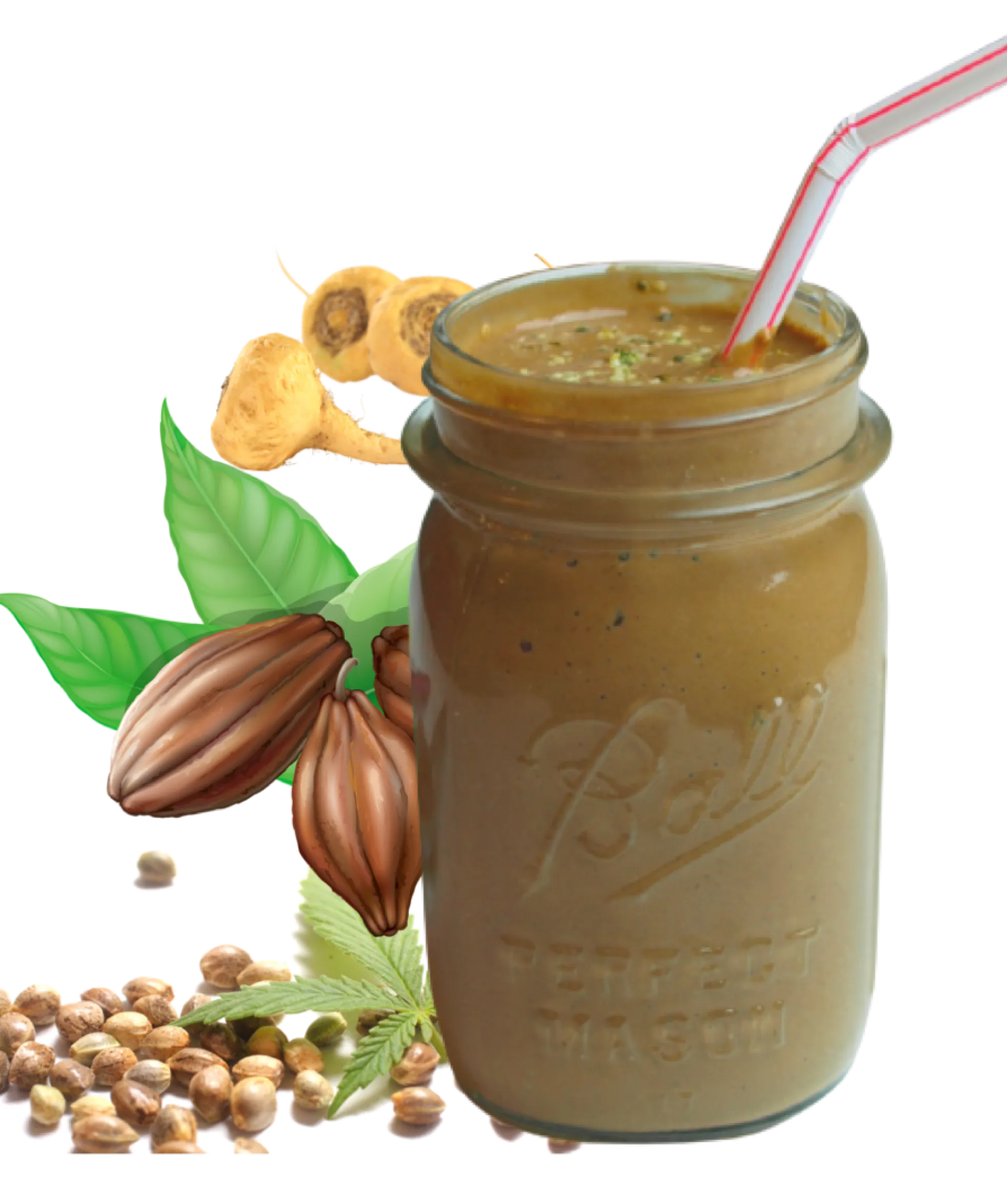 Hemp Macau (cáñamo · Maca · Cacao) Bio - 1kg | Cacao Puro Ecológico Vegano Para Repostería Y Bebidas
