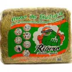 Heno de Festuca Conejos y Roedores 5 kg