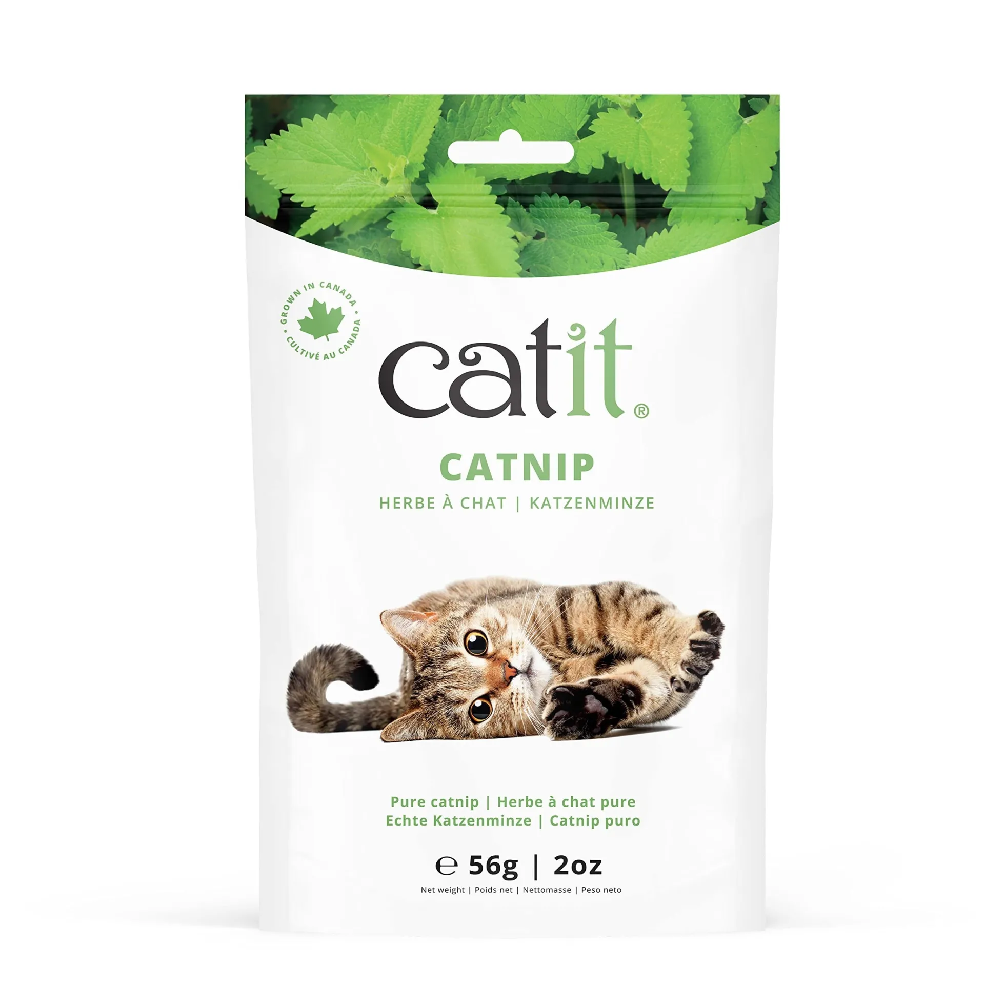 Hierba gatera Catnip en bolsa 56 g Catit