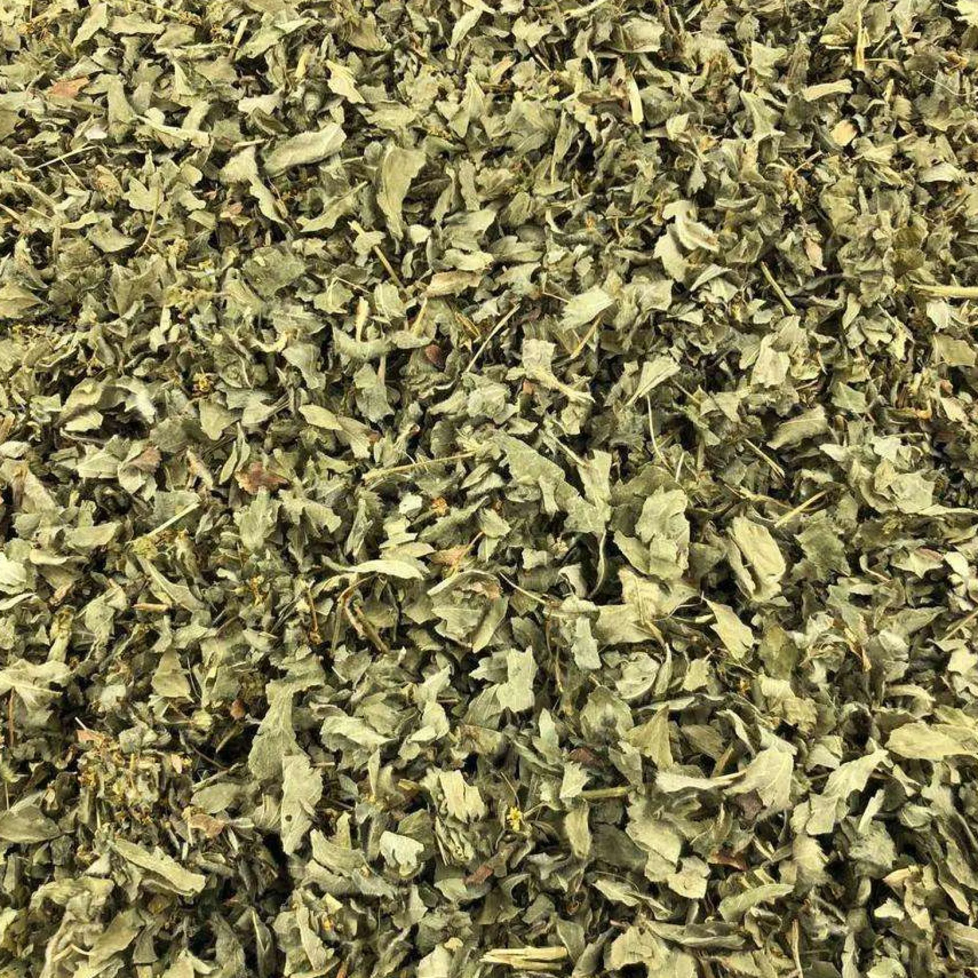 Hojas De Alchemille Orgánica Granel 10 Kg