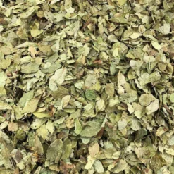 Hojas De Arándano Orgánico Granel 1 Kg