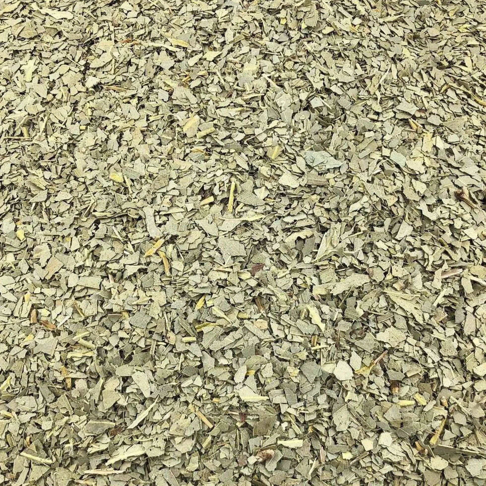Hojas De Eucalipto Orgánico A Granel 0,125 Kg