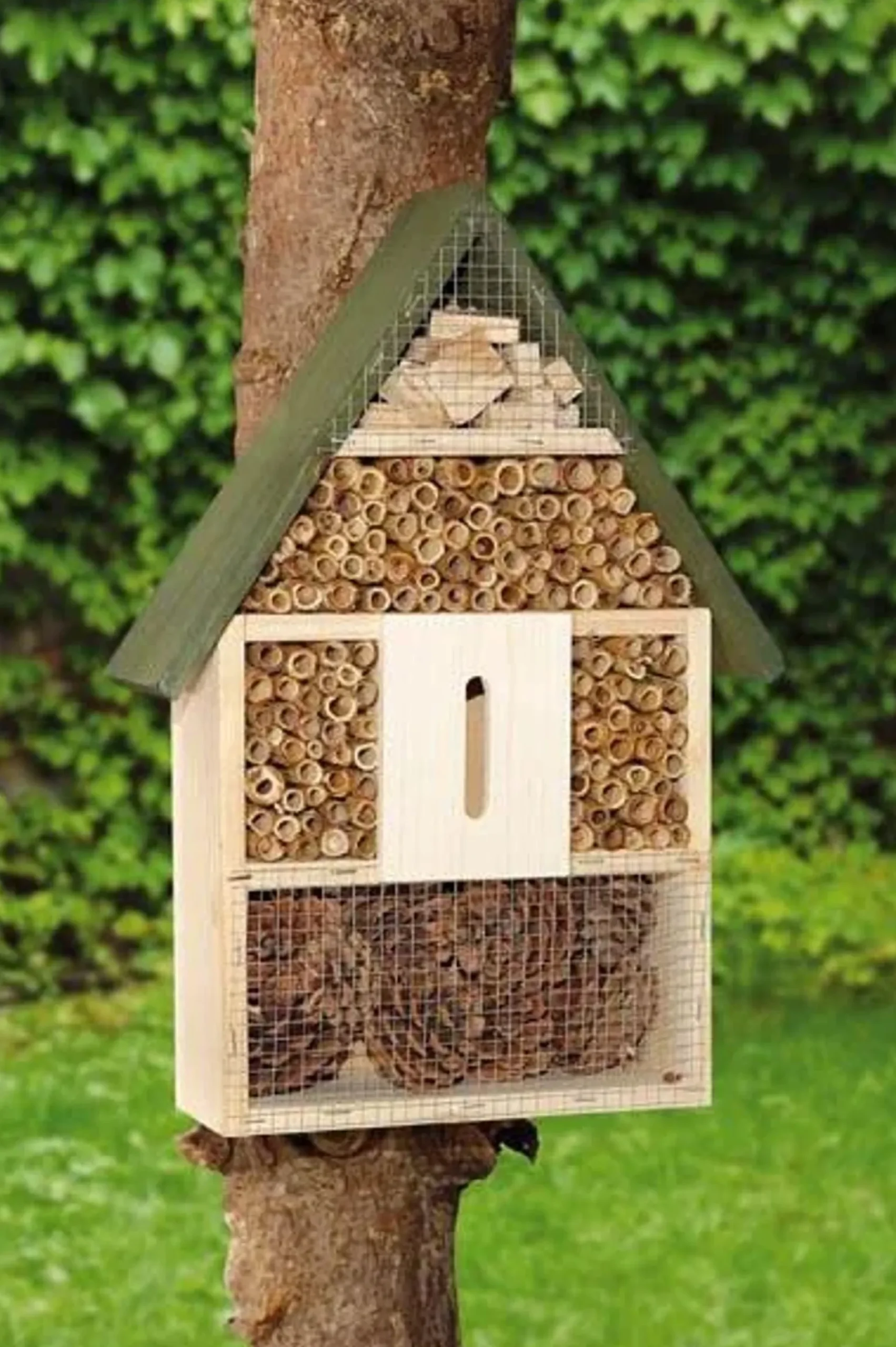 Hotel Insectos Xxl