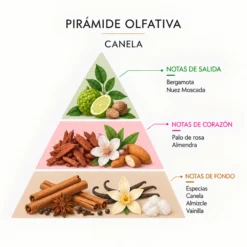 Incienso Natural Canela SYS Aromas | 20 Sticks | Aroma Especiado y Oriental | Carbón Vegetal, Resinas y Bambú