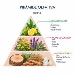 Incienso Natural Ruda SYS Aromas | 20 Sticks | Aroma Agreste y Herbal | Carbón Vegetal, Resinas y Bambú