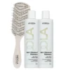 Indola Champú Anticaspa Pack 2 X 300 Ml + Peine Regalo | Elimina Caspa