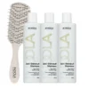 Indola Champú Anticaspa Pack 3 X 300 Ml + Peine Regalo | Elimina Caspa