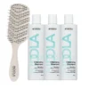 Indola Champú Purificante Pack 3 X 300 Ml + Peine Regalo| Elimina Impurezas