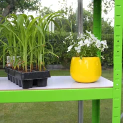Invernadero Politúnel Con Estantería Galvanizada De Jardín Carpa De Cultivo 25mm 4 X 2m