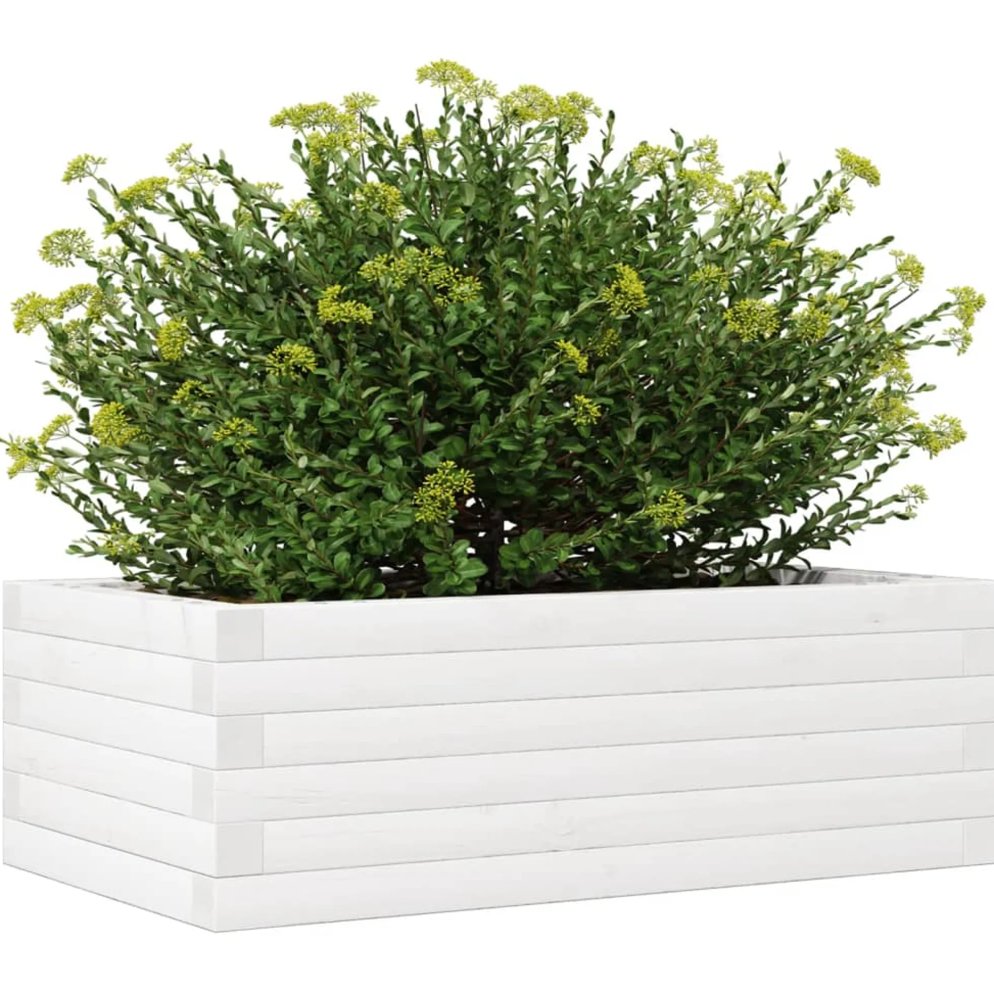 Jardinera De Madera Maciza De Pino Blanca 70x40x23 Cm
