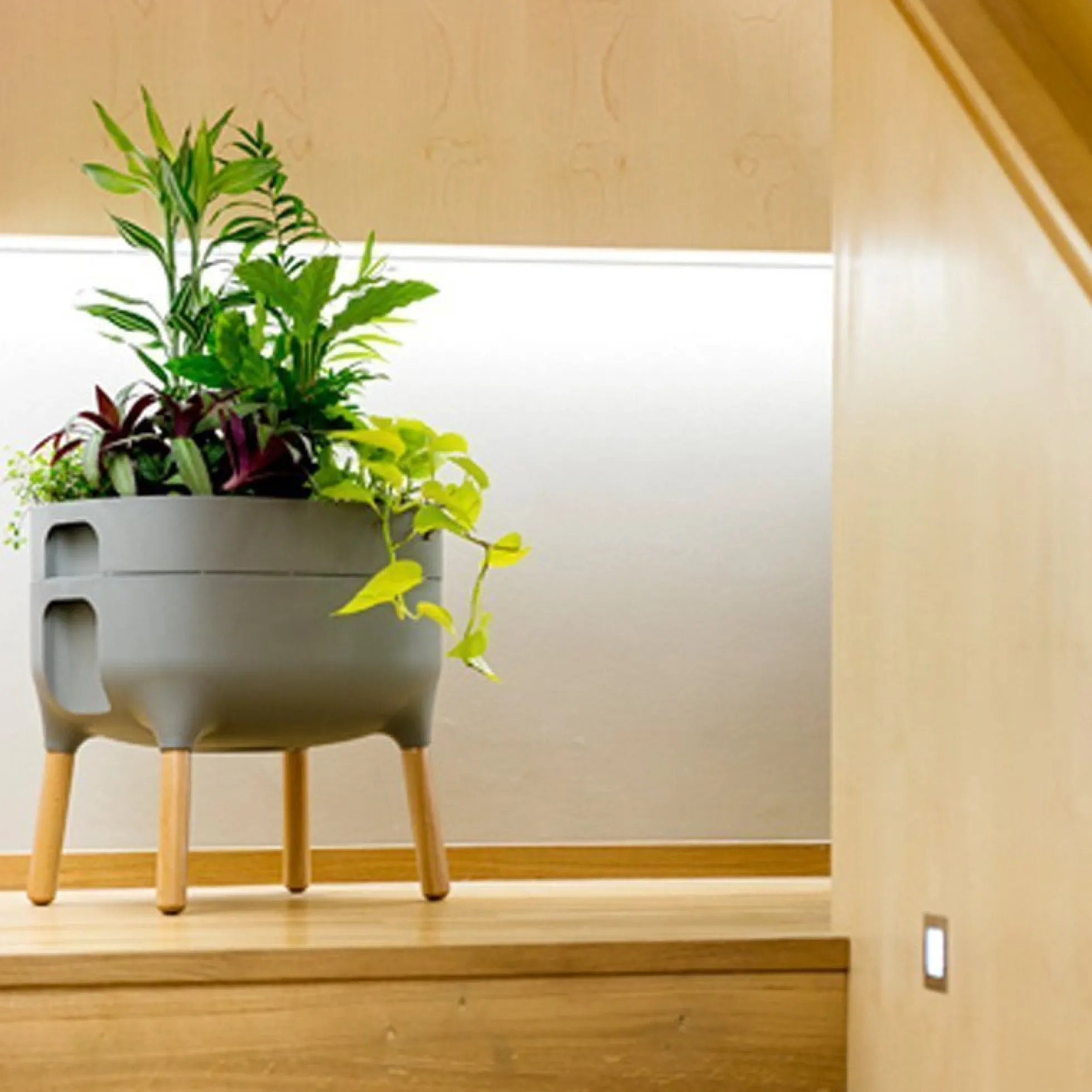 Jardinera Elevada Urbalive Low Antracita Con Auto-riego