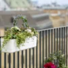 Jardineras Con Autorriego Berberis 60 Blanco