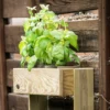 Jardinera Vertical Stand Line Wall 3B Madera Tratada Exterior Hortalia
