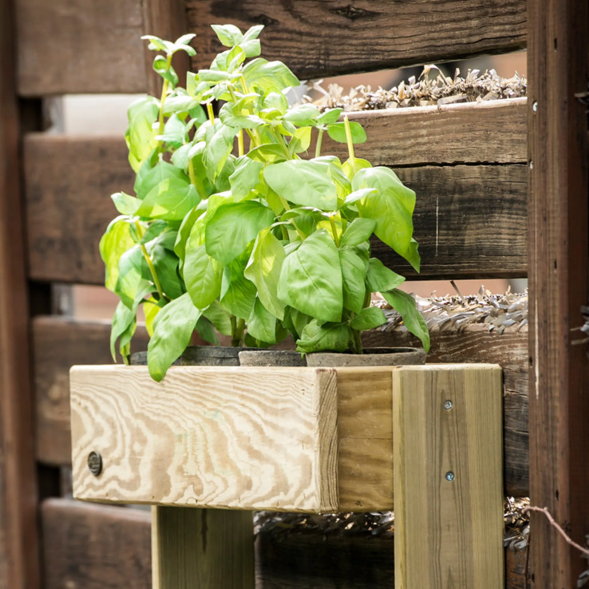 Jardinera Vertical Stand Line Wall 3B Madera Tratada Exterior Hortalia
