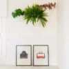 Jardín Vertical Modular Citysens Con Riego Automático De 3 Maceteros – Blanco, Polipropileno 100% Reciclado
