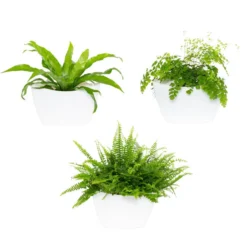 Jardín Vertical Modular Citysens Con Riego Automático De 3 Maceteros – Blanco, Polipropileno 100% Reciclado