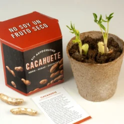 Kit Autocultivo Cacahuete | Cultiva tus Propios Peanuts en Casa | Regalo Divertido - Resetea