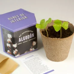 Kit Autocultivo de Algodón Cultiva tu Propia Planta en Casa | Regalo Original y Decorativo - Resetea