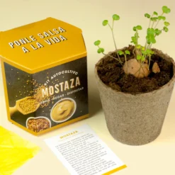 Kit Autocultivo de Mostaza Cultiva tus Propias Semillas en Casa | Fácil y Rápido - Resetea