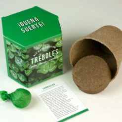 Kit Autocultivo de Tréboles Cultiva tu Propio Símbolo de Buena Suerte en Casa - Resetea