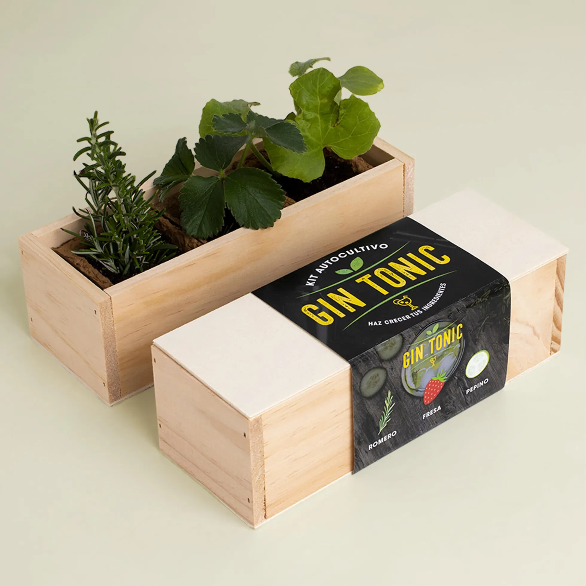 Kit Autocultivo Gin Tonic Romero, Fresa y Pepino | Regalo Original para Amantes de C贸cteles - Resetea