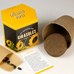 Kit Autocultivo Girasoles Cultiva Flores Grandes y Luminosas en Casa - Resetea