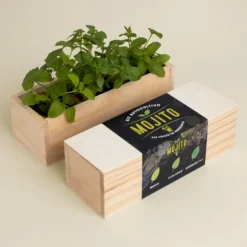 Kit Autocultivo Mojito Menta, Albahaca y Hierbabuena | Regalo Original para Cócteles - Resetea