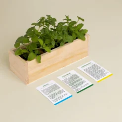 Kit Autocultivo Mojito Menta, Albahaca y Hierbabuena | Regalo Original para Cócteles - Resetea