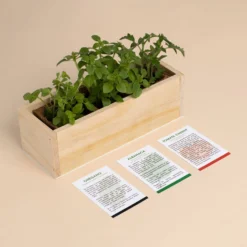 Kit Autocultivo Pizza Orégano, Albahaca y Tomate Cherry | Regalo Original de Cocina - Resetea