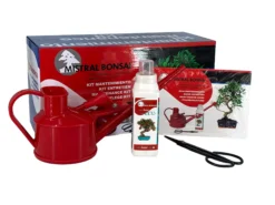 Kit Básico De Mantenimiento Para Bonsái