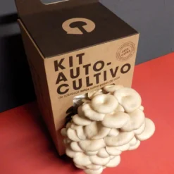 Kit Cultivo de Setas Ostra en Casa - Ingrediente Gourmet en 15 Días, Regalo Original - Resetea