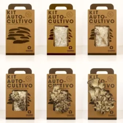 Kit Cultivo de Setas Ostra en Casa - Ingrediente Gourmet en 15 Días, Regalo Original - Resetea