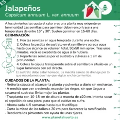 Kit de autocultivo Jalapeños Planeta Huerto